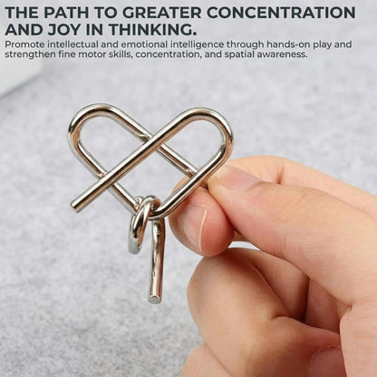 Metal Logic Puzzle 8-Piece set