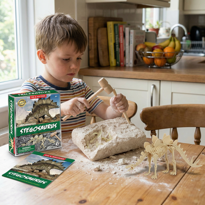 Dinosaur Fossil Excavation Kit for Kids