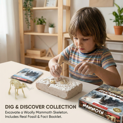 Dinosaur Fossil Excavation Kit for Kids