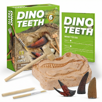 Dinosaur Fossil Excavation Kit for Kids