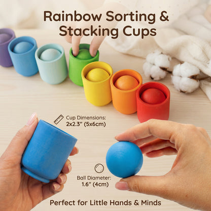 Montessori Wooden Colour Sorting Set