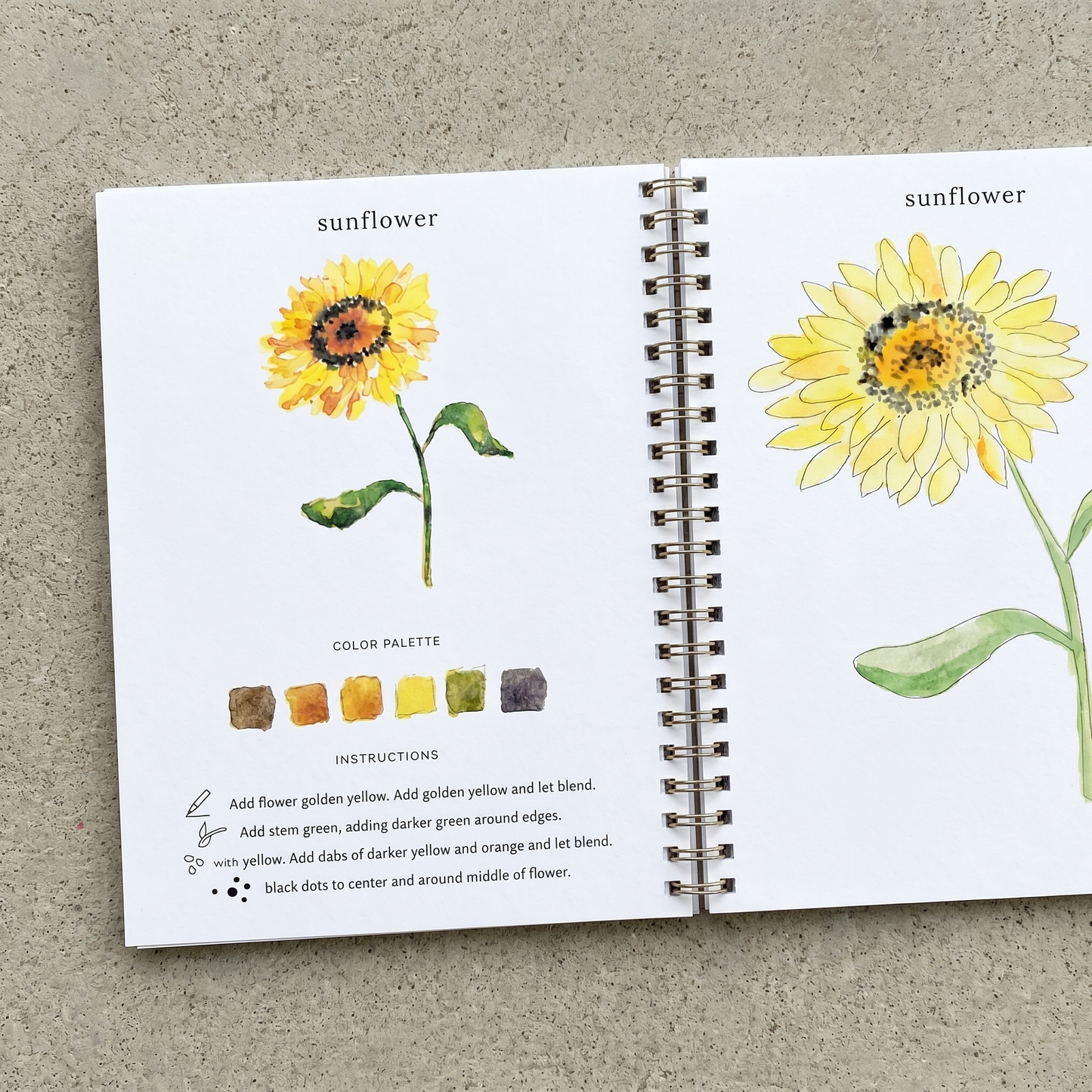 Calm & Create Guided Watercolour Book