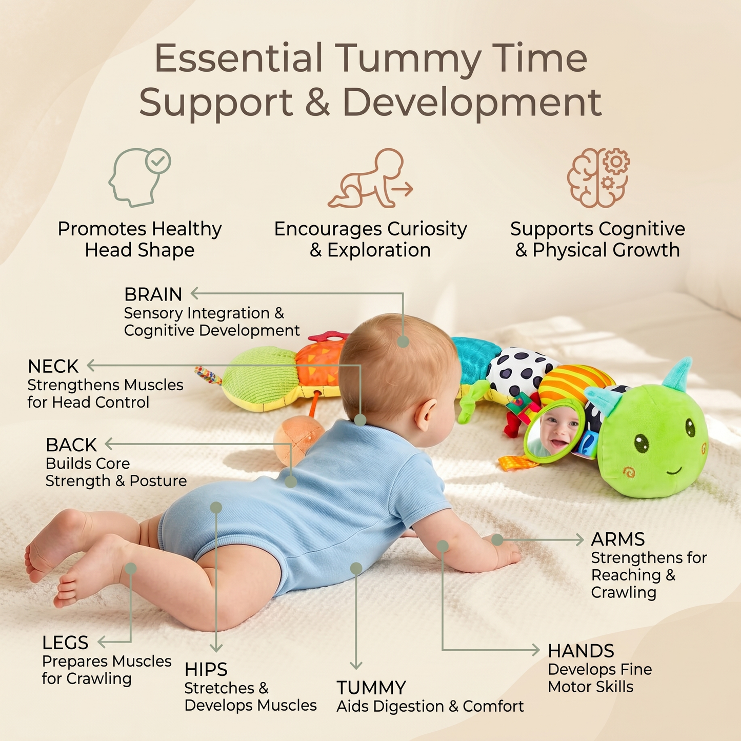Soft Sensory Caterpillar Toy for Babies