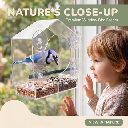Clear Bird Watching Window Feeder
