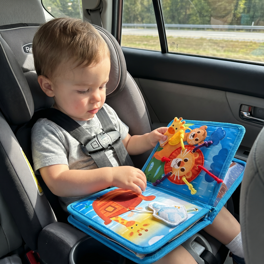 Noah's Ark Busy Book for Toddlers
