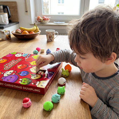 Dumpling Squishy Advent Calendar with 24 Surprises